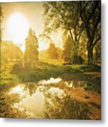 The Foggy Sunrise Metal Print