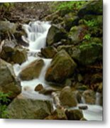 The Forest Brook Metal Print
