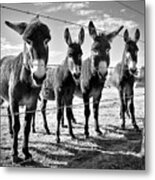 The Four Amigos Metal Print