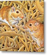 The Gerbils Metal Print