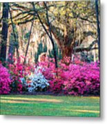 The Glory Of Spring Metal Print