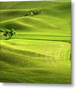 The Greens Of Spring Metal Print