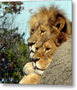 The King And Queen 1 Metal Print