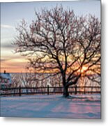 The Lighthouse And Tree Metal Print