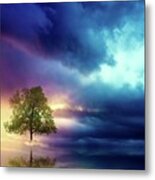 The Lonely Tree Metal Print