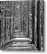 The Long Walk Metal Print