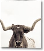 The Longhorn Metal Print