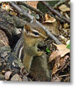 The Lookout Metal Print