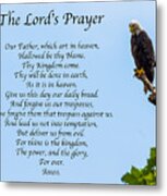 The Lord's Prayer Metal Print