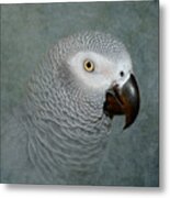 The Love Of A Gray Metal Print