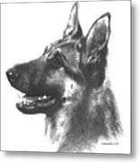 The Loyal Shepherd Metal Print