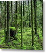 The Magic Forest Metal Print