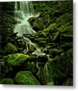 The Mossy Summer Metal Print