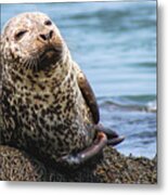 The Most Interesting Seal Metal Print