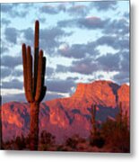 The Mountain Is Pink Time To Drink, Superstitions Az Metal Print