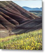 The Painted Hills In Bloom Metal Print