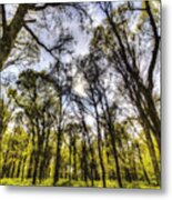 The Pastel Trees Metal Print