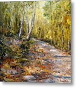 The Path Metal Print