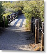 The Path Metal Print