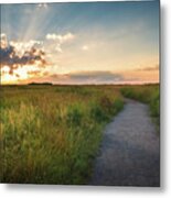 The Path That Leads To Life Metal Print