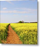 The Path To Bosworth Field Metal Print