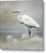 The Peace Of Wild Things Metal Print