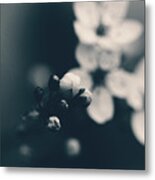 The Promise Metal Print