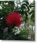 The Red Flower Metal Print