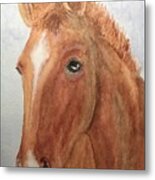 The Red Pony Metal Print