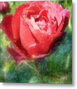 The Red Rose Metal Print