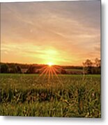 The Rising Sun Metal Print