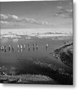The Salmon Fishermen    B And W Image      Lake Superior       Minnesota Metal Print