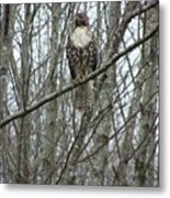 The Sentinel Metal Print