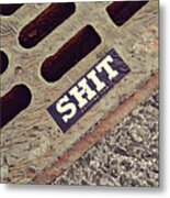 The Shit You See In New York City Metal Print