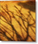 The Soundlessness Of Nature Metal Print