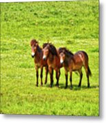 The Trio 1 Metal Print