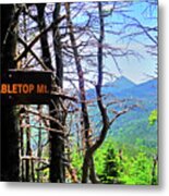 The View From Tabletop Mountain Adirondacks Upstate New York Sign Metal Print