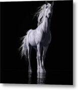 The White Horse Metal Print