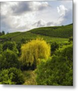 The Wineyards Of Loc Metal Print