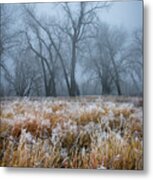 The Winter Forest Metal Print