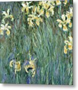 The Yellow Irises Metal Print