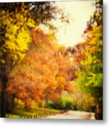 Then Autumn Arrives 06 Metal Print