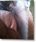 Thereby Hangs A Tail Metal Print