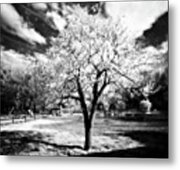 There's No Place Like Home. Infrared Metal Print