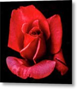 This Bud Is For You Metal Print