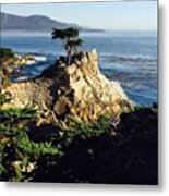 This Happened Today!! Lone Cypress Metal Print