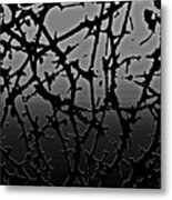 Thorned Metal Print