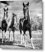 Three Amigos Metal Print