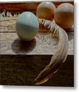 Three Eggs And A Feather Metal Print