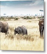 Three Elephants Walking In Kenya Africa Metal Print
